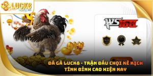 da-ga-luck8-ava